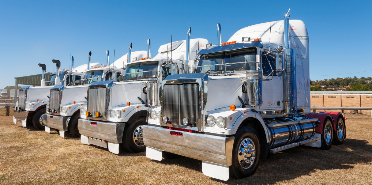 Navigating uncertainty: Finding stability with shifting conditions